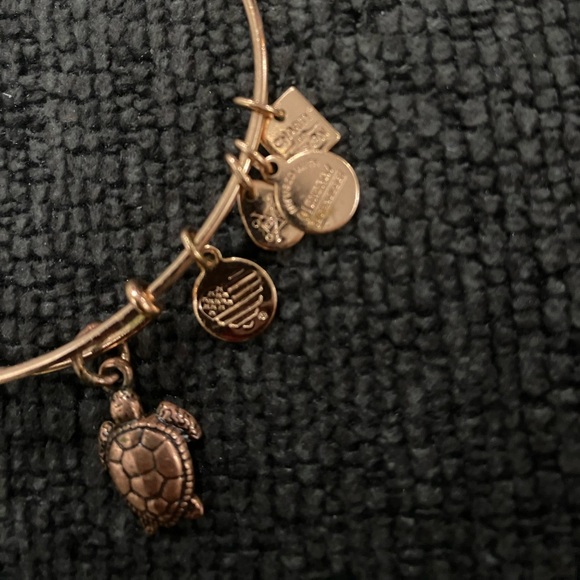 Alex and Ani sea turtle bracelet rose gold good condition - Picture 2 of 3